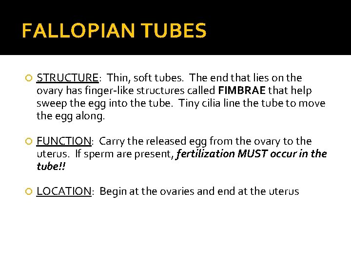 FALLOPIAN TUBES STRUCTURE: Thin, soft tubes. The end that lies on the ovary has