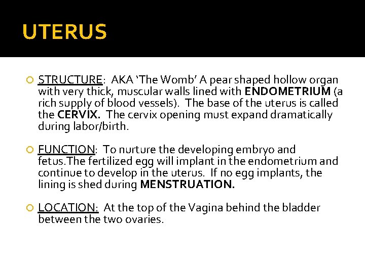 UTERUS STRUCTURE: AKA ‘The Womb’ A pear shaped hollow organ with very thick, muscular