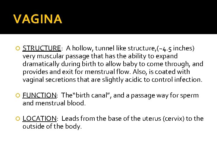 VAGINA STRUCTURE: A hollow, tunnel like structure, (~4. 5 inches) very muscular passage that