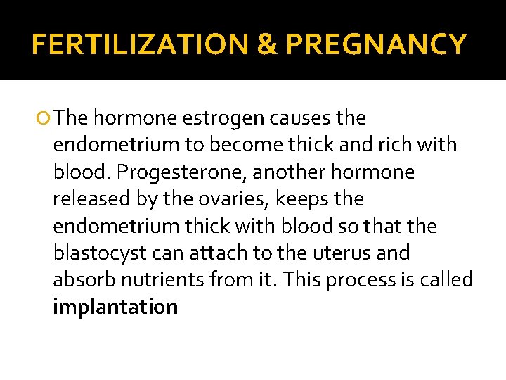 FERTILIZATION & PREGNANCY The hormone estrogen causes the endometrium to become thick and rich