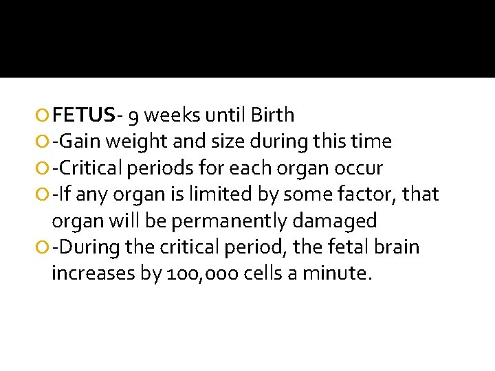  FETUS- 9 weeks until Birth -Gain weight and size during this time -Critical
