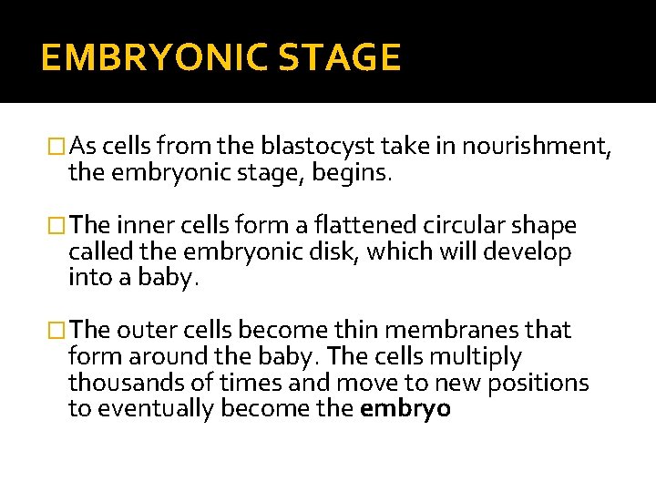 EMBRYONIC STAGE �As cells from the blastocyst take in nourishment, the embryonic stage, begins.