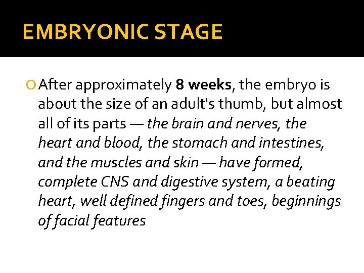 EMBRYONIC STAGE After approximately 8 weeks, the embryo is about the size of an
