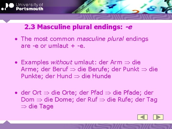 2. 3 Masculine plural endings: -e • The most common masculine plural endings are