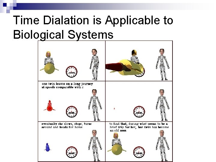 Time Dialation is Applicable to Biological Systems 