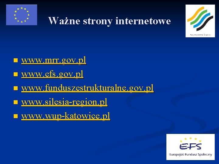 Ważne strony internetowe www. mrr. gov. pl n www. efs. gov. pl n www.