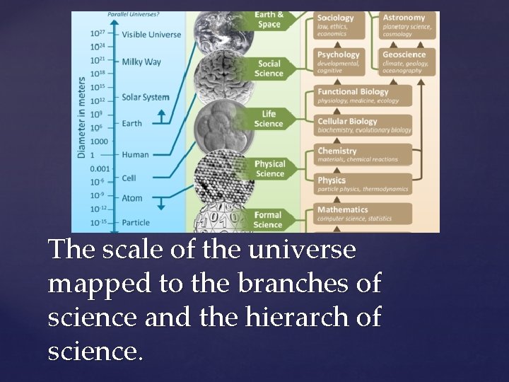 The scale of the universe mapped to the branches of science and the hierarch