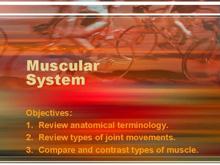 Muscular System Objectives: 1. Review anatomical terminology. 2. Review types of joint movements. 3.