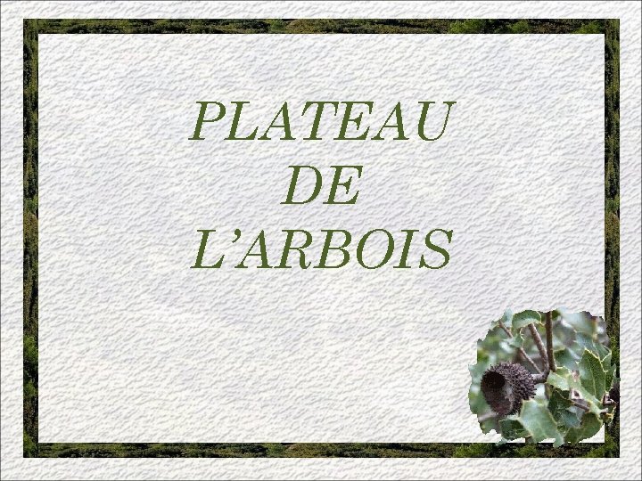 PLATEAU DE L’ARBOIS 