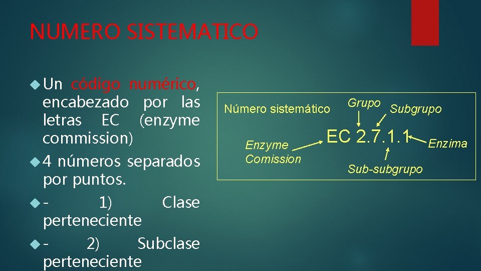 NUMERO SISTEMATICO Un código numérico, encabezado por las letras EC (enzyme commission) 4 números NUMERO SISTEMATICO Un código numérico, encabezado por las letras EC (enzyme commission) 4 números