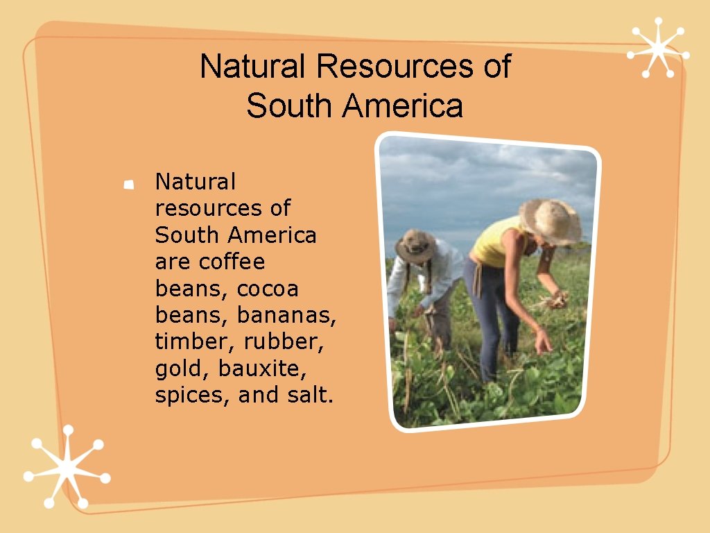 Natural Resources of South America Natural resources of South America are coffee beans, cocoa