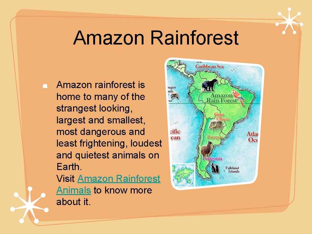 Amazon Rainforest Amazon rainforest is home to many of the strangest looking, largest and