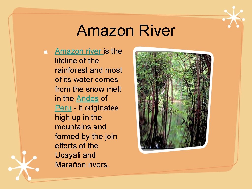 Amazon River Amazon river is the lifeline of the rainforest and most of its