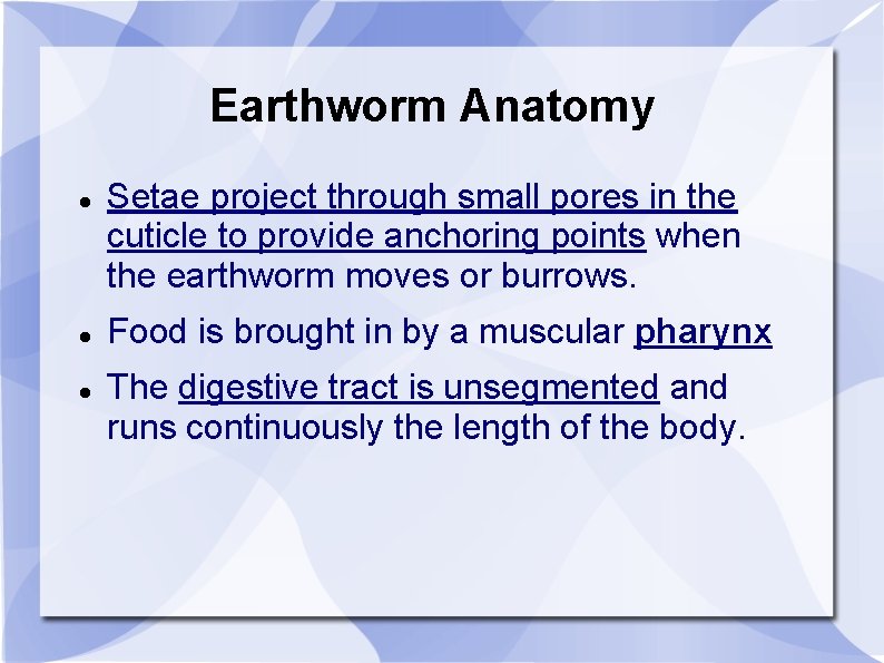 Earthworm Anatomy Setae project through small pores in the cuticle to provide anchoring points