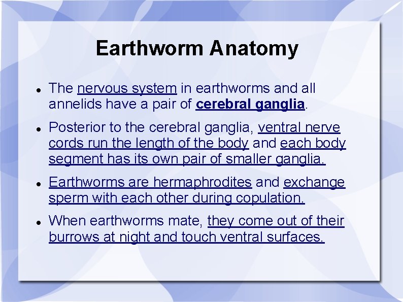 Earthworm Anatomy The nervous system in earthworms and all annelids have a pair of