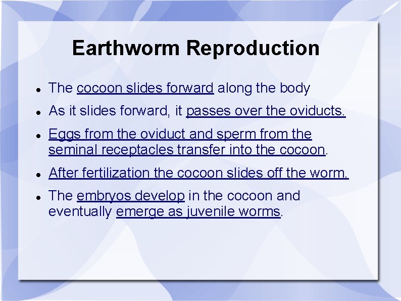 Earthworm Reproduction The cocoon slides forward along the body As it slides forward, it