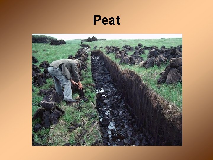 Peat 