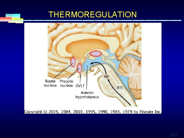 THERMOREGULATION 2007 