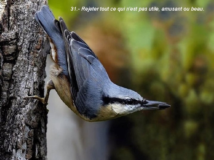 31. - Rejeter tout ce qui n'est pas utile, amusant ou beau. 