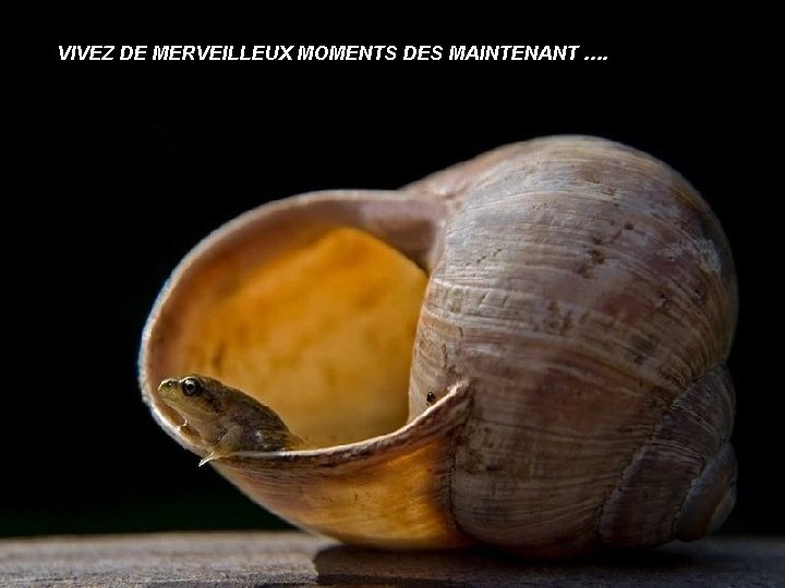 VIVEZ DE MERVEILLEUX MOMENTS DES MAINTENANT …. 