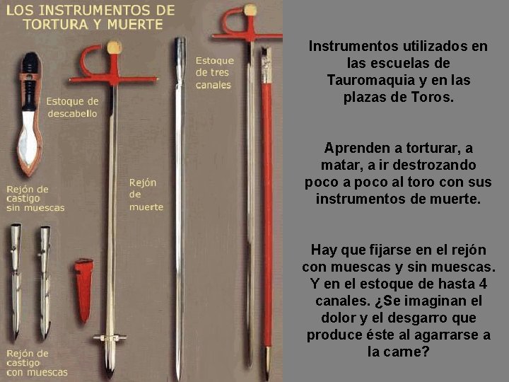 Instrumentos utilizados en las escuelas de Tauromaquia y en las plazas de Toros. Aprenden