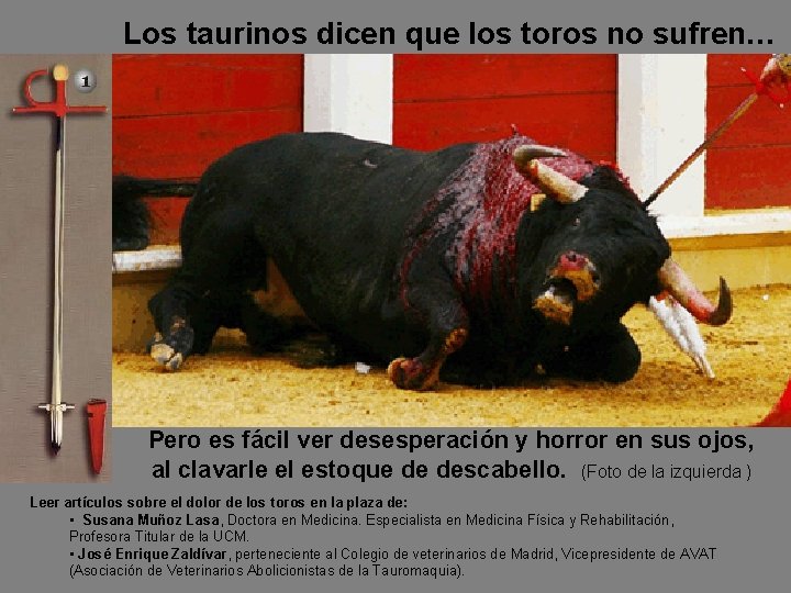 Los taurinos dicen que los toros no sufren… Pero es fácil ver desesperación y