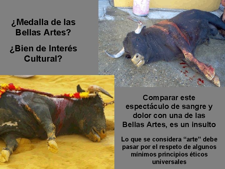 ¿Medalla de las Bellas Artes? ¿Bien de Interés Cultural? Comparar este espectáculo de sangre