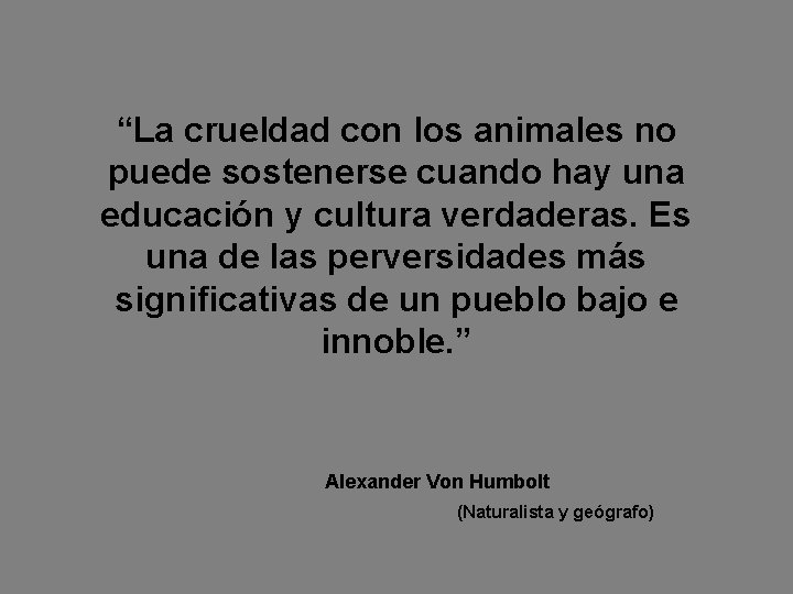 “La crueldad con los animales no puede sostenerse cuando hay una educación y cultura