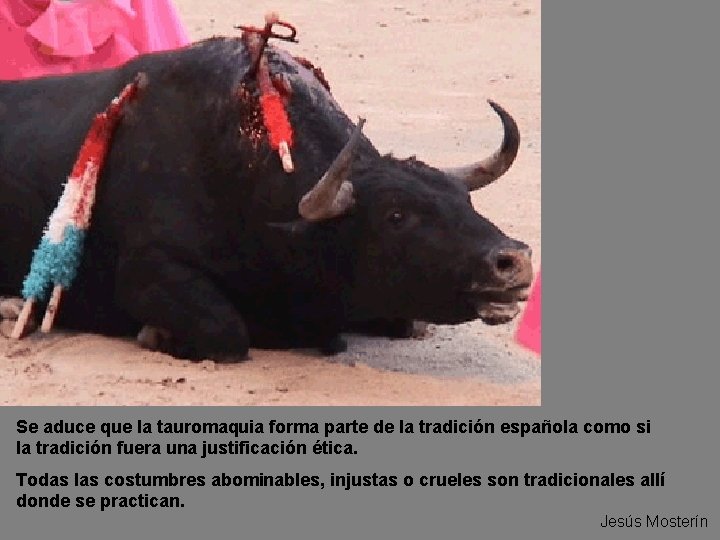 Se aduce que la tauromaquia forma parte de la tradición española como si la