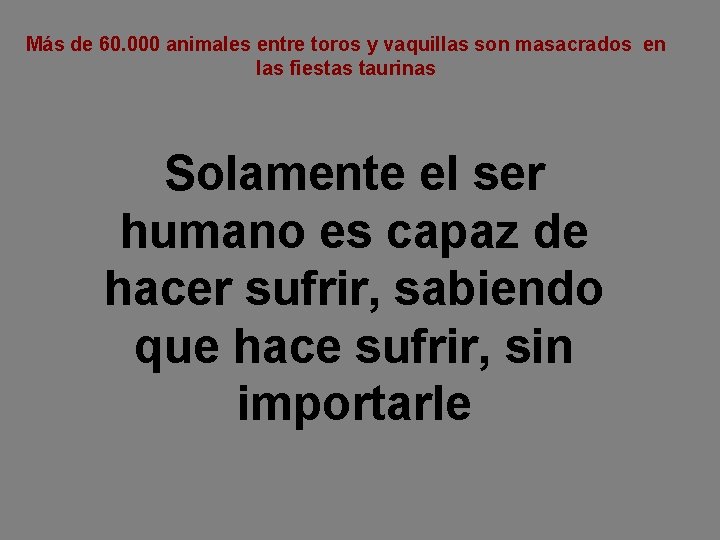 Más de 60. 000 animales entre toros y vaquillas son masacrados en las fiestas