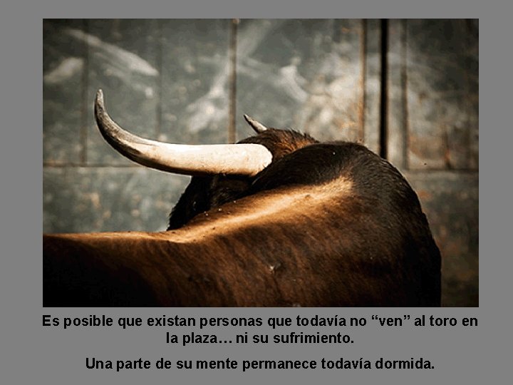 Es posible que existan personas que todavía no “ven” al toro en la plaza…