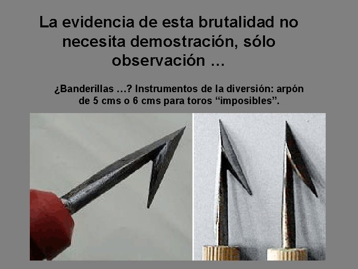 La evidencia de esta brutalidad no necesita demostración, sólo observación … ¿Banderillas …? Instrumentos