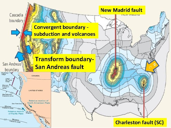 New Madrid fault Convergent boundary subduction and volcanoes N C Transform boundary. San Andreas