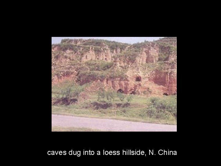 caves dug into a loess hillside, N. China 