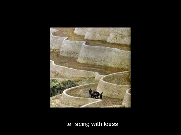 terracing with loess 