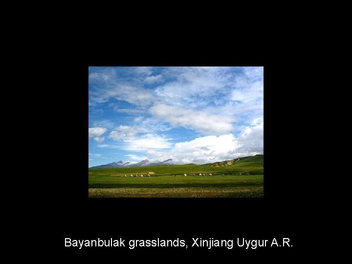 Bayanbulak grasslands, Xinjiang Uygur A. R. 