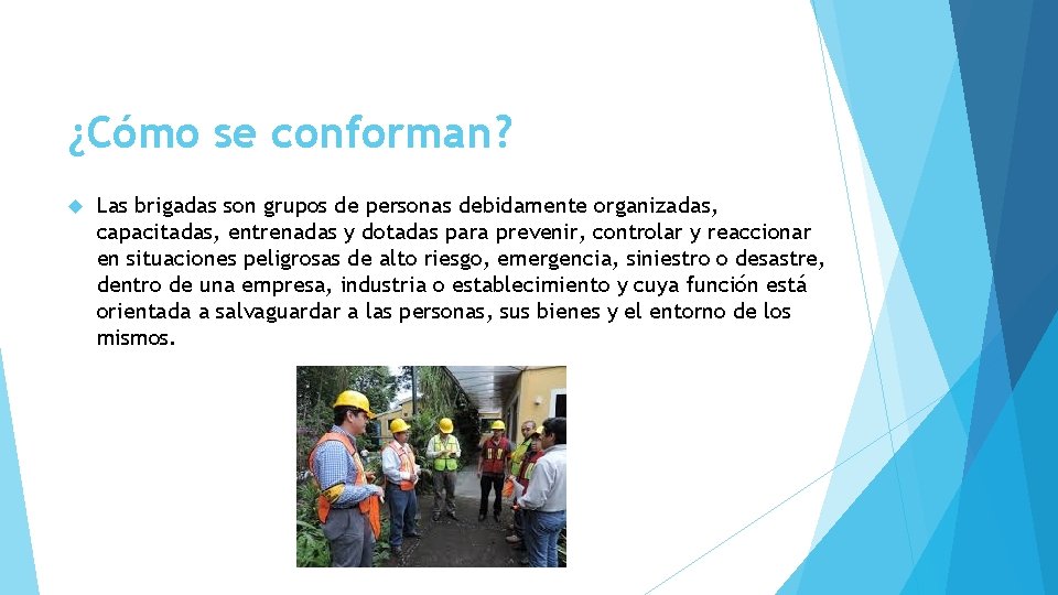 ¿Cómo se conforman? Las brigadas son grupos de personas debidamente organizadas, capacitadas, entrenadas y