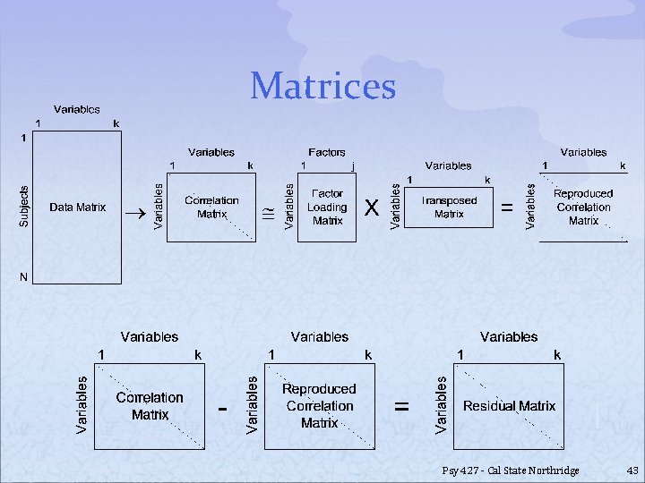 Matrices Psy 427 - Cal State Northridge 43 