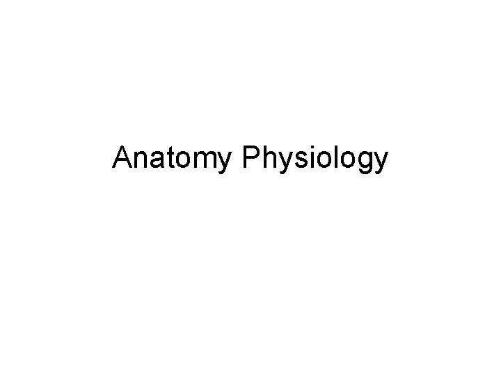 Anatomy Physiology 