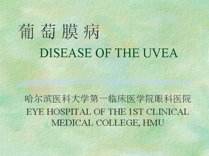 葡萄膜病 DISEASE OF THE UVEA 哈尔滨医科大学第一临床医学院眼科医院 EYE HOSPITAL OF THE 1 ST CLINICAL MEDICAL