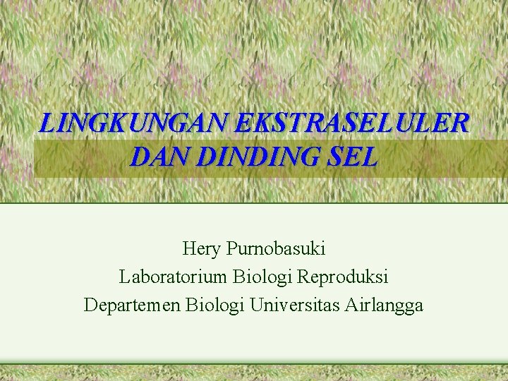 LINGKUNGAN EKSTRASELULER DAN DINDING SEL Hery Purnobasuki Laboratorium Biologi Reproduksi Departemen Biologi Universitas Airlangga