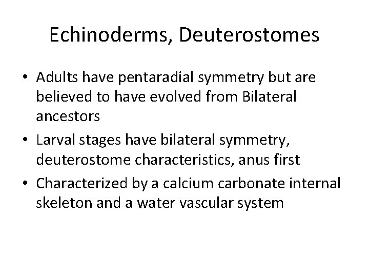 Echinoderms, Deuterostomes • Adults have pentaradial symmetry but are believed to have evolved from