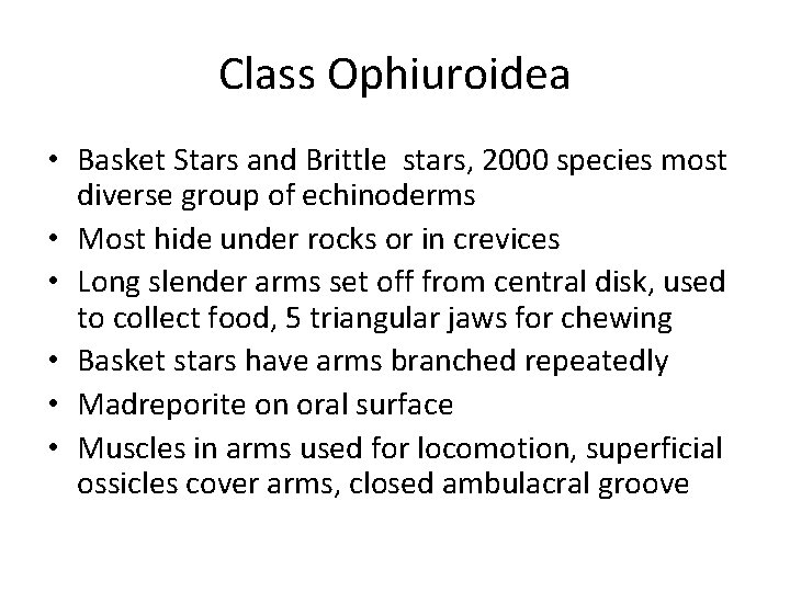 Class Ophiuroidea • Basket Stars and Brittle stars, 2000 species most diverse group of