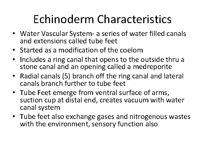 Echinoderm Characteristics • Water Vascular System- a series of water filled canals and extensions
