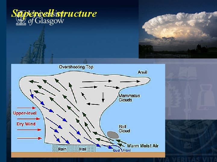 Planetary Atmospheres the Environment and Life Ex Cos