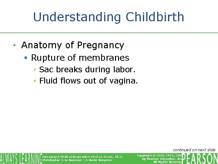 Understanding Childbirth • Anatomy of Pregnancy § Rupture of membranes • Sac breaks during