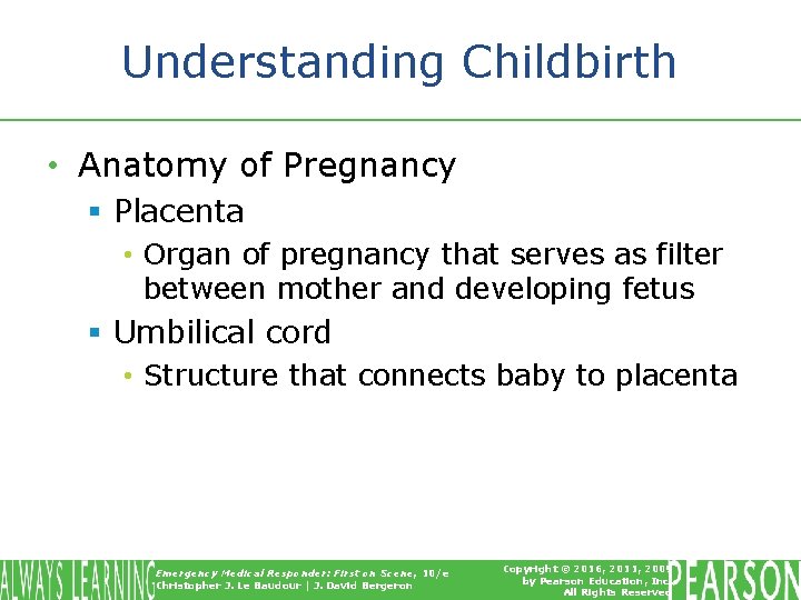 Understanding Childbirth • Anatomy of Pregnancy § Placenta • Organ of pregnancy that serves