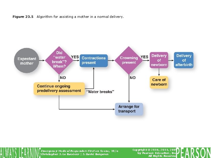 Figure 23. 5 Algorithm for assisting a mother in a normal delivery. Emergency Medical