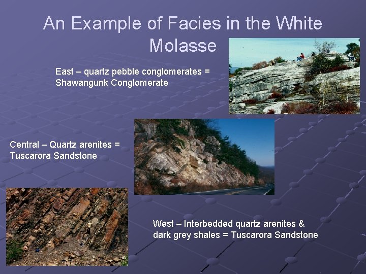 An Example of Facies in the White Molasse East – quartz pebble conglomerates =