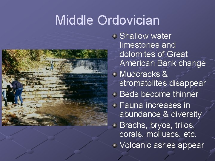 Middle Ordovician Shallow water limestones and dolomites of Great American Bank change Mudcracks &